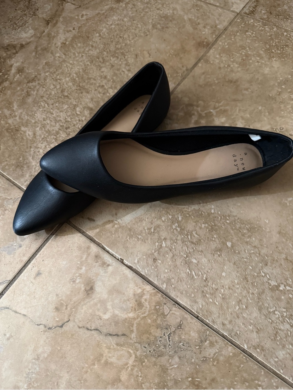Black Pointed-Toe Ballet Flats by